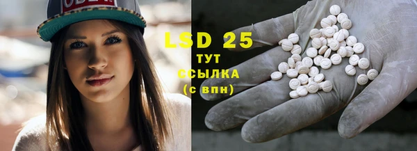 индика Балабаново