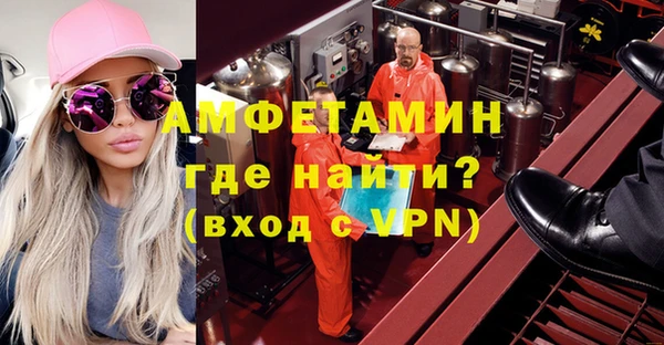 индика Балабаново