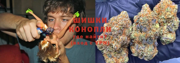 индика Балабаново