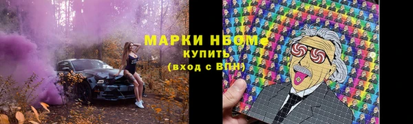 индика Балабаново
