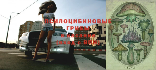 индика Балабаново