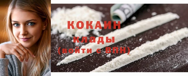 индика Балабаново