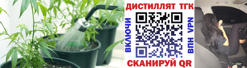 ТГК Wax  Верхняя Салда 