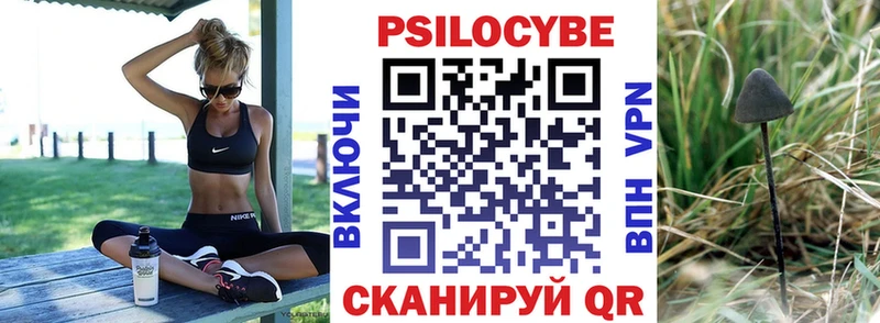 Псилоцибиновые грибы Cubensis  Верхняя Салда 